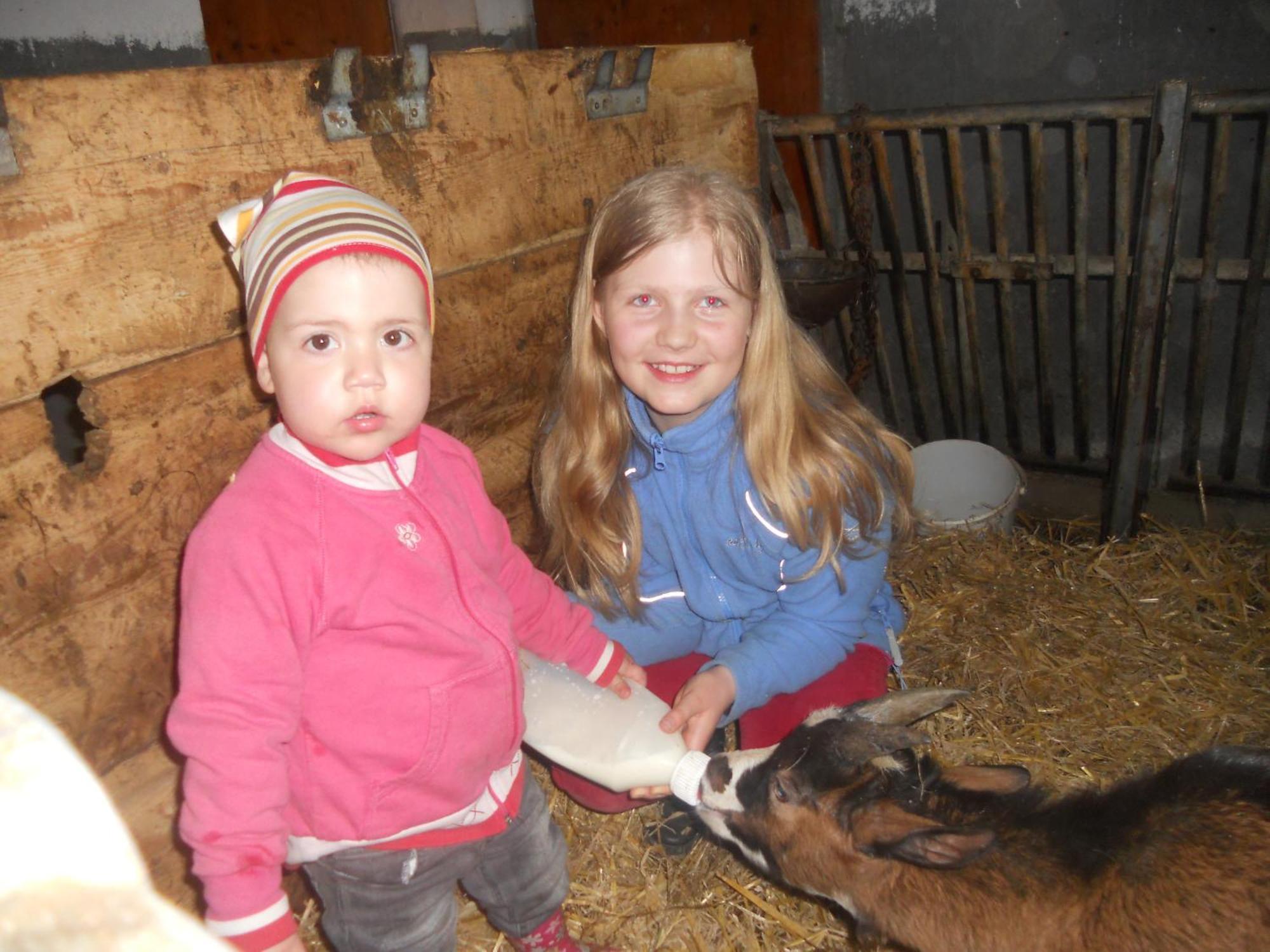 Hanserhof Zell am Ziller Eksteriør billede