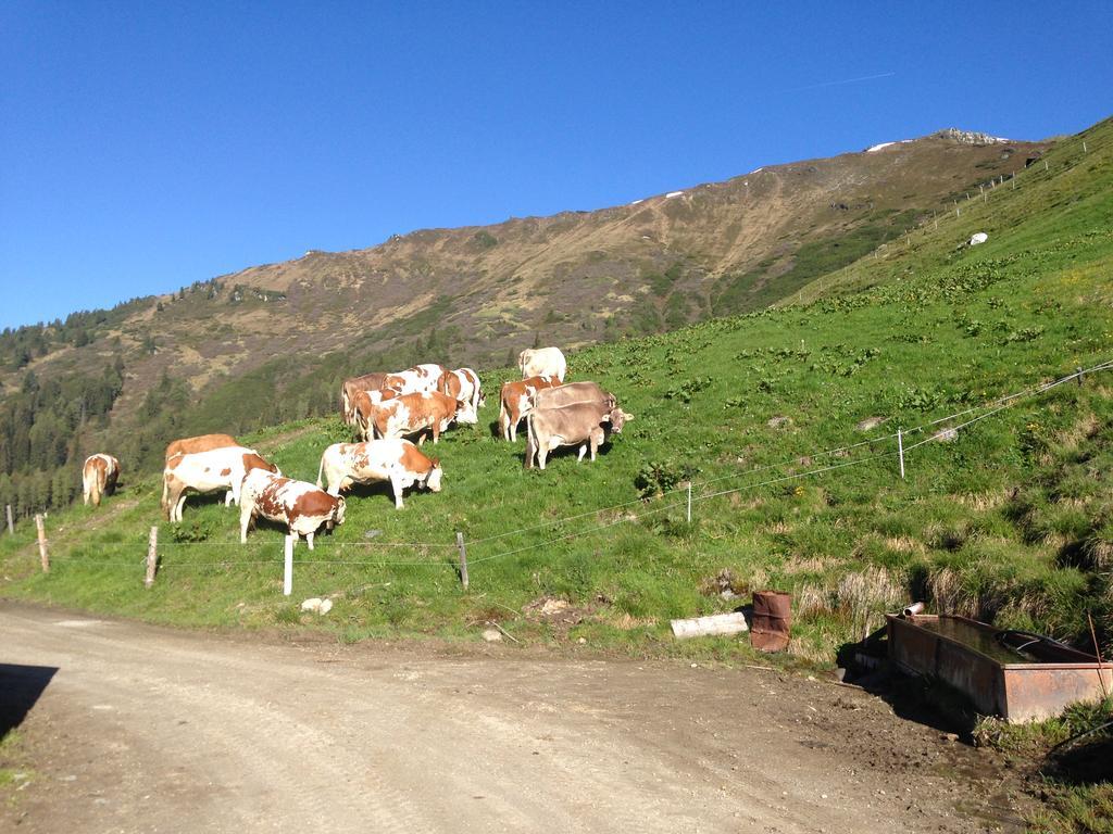 Hanserhof Zell am Ziller Eksteriør billede